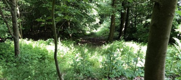 Земельный участок с 1 спальней в Зале-Орла, Германия № 212072 8