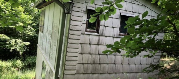 Земельный участок с 1 спальней в Зале-Орла, Германия № 212072 12