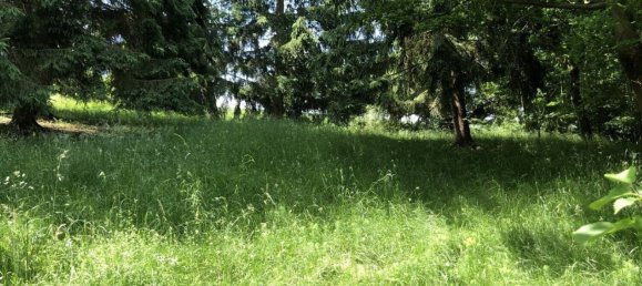 Земельный участок с 1 спальней в Зале-Орла, Германия № 212072 14