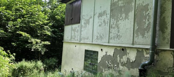 Земельный участок с 1 спальней в Зале-Орла, Германия № 212072 13