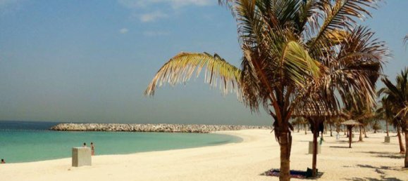 1440.3m² Land in Deira, UAE No. 34274 4