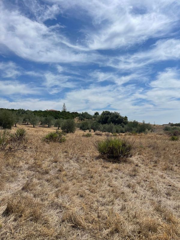 10921m² Land in Guaro, Spain No. 226484
