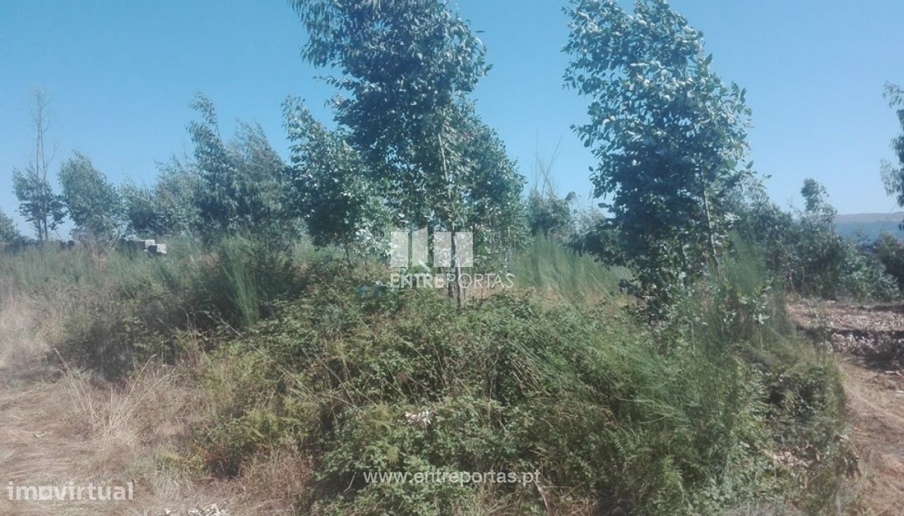 Grundstück in Marco de Canaveses, Portugal 9700m², Nr. 52092