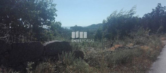 Grundstück in Marco de Canaveses, Portugal 9700m², Nr. 52092 5