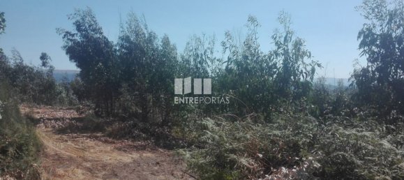 Grundstück in Marco de Canaveses, Portugal 9700m², Nr. 52092 2