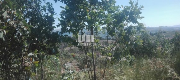 Grundstück in Marco de Canaveses, Portugal 9700m², Nr. 52092 6