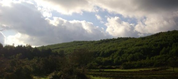  Hotel in Zakynthos, Greece No. 429 2