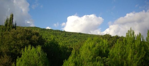 terrain à vendre à Zakynthos, Ionian Islands, Peloponnese, Western Greece and the Ionian, Greece № 429 8