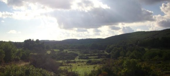  Hotel in Zakynthos, Greece No. 429 13