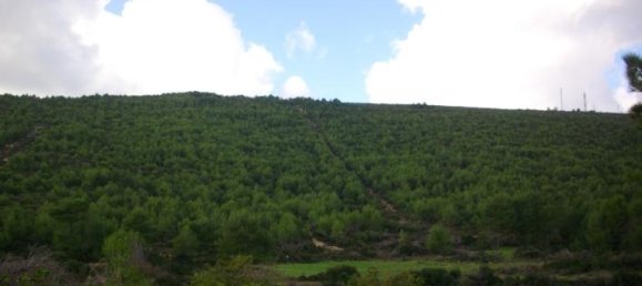  Hotel in Zakynthos, Greece No. 429 12