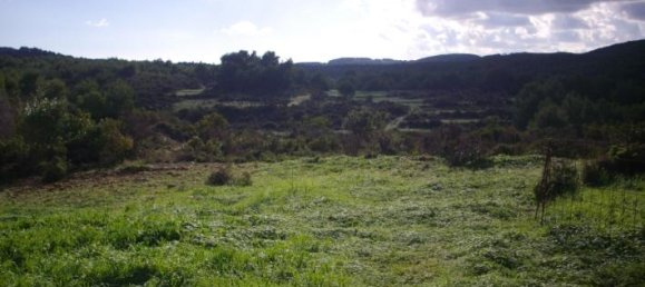  Hotel in Zakynthos, Greece No. 429 16