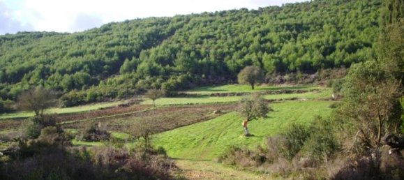  Hotel in Zakynthos, Greece No. 429 5