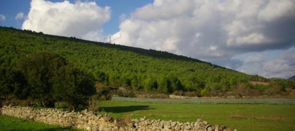  Hotel in Zakynthos, Greece No. 429 4