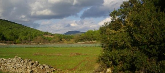  Hotel in Zakynthos, Greece No. 429 3