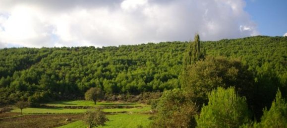  Hotel in Zakynthos, Greece No. 429 7