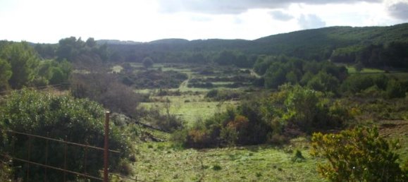  Hotel in Zakynthos, Greece No. 429 9