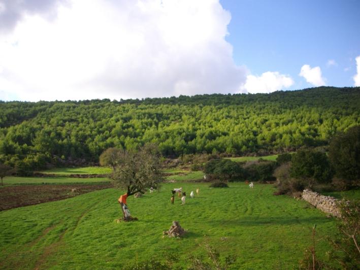  Hotel in Zakynthos, Greece No. 429