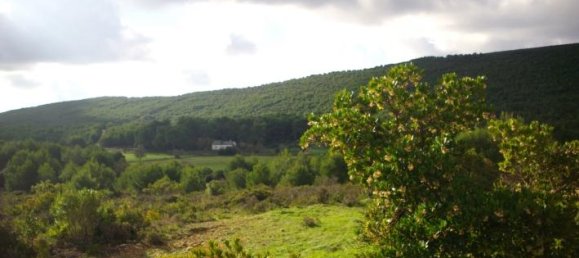  Hotel in Zakynthos, Greece No. 429 10