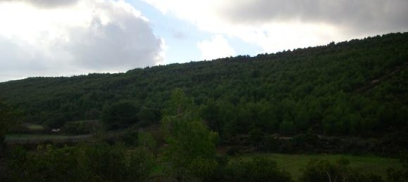  Hotel in Zakynthos, Greece No. 429 11