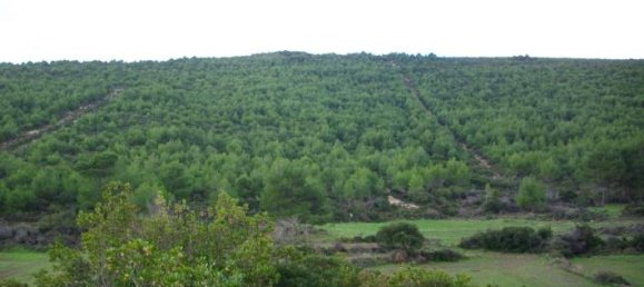  Hotel in Zakynthos, Greece No. 429 14