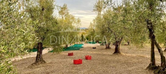 3 غرف نوم منزل في Capannoli, Italy رقم 321100 35