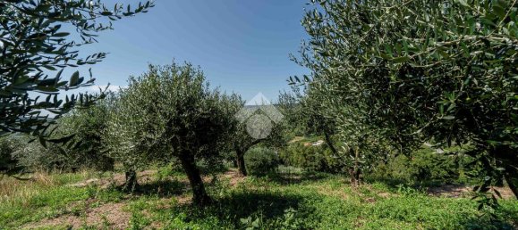 5500m² Land in Verona, Italy No. 314462 10