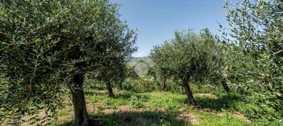 5500m² Land in Verona, Italy No. 314462 9