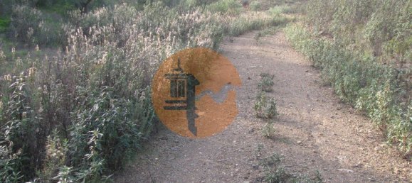 قطعة أرض في Azinhal, Portugal 5560متر مربع رقم 69788 30