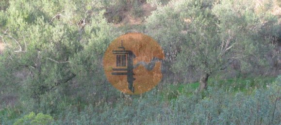 قطعة أرض في Azinhal, Portugal 5560متر مربع رقم 69788 7