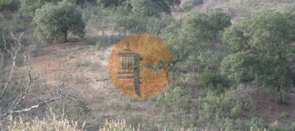 قطعة أرض في Azinhal, Portugal 5560متر مربع رقم 69788 25