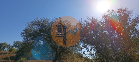 قطعة أرض في Azinhal, Portugal 5560متر مربع رقم 69788 9