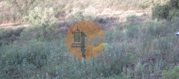 قطعة أرض في Azinhal, Portugal 5560متر مربع رقم 69788 6