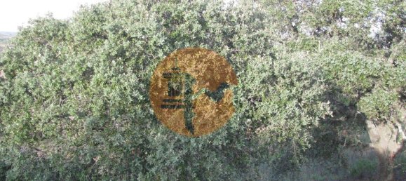 قطعة أرض في Azinhal, Portugal 5560متر مربع رقم 69788 34