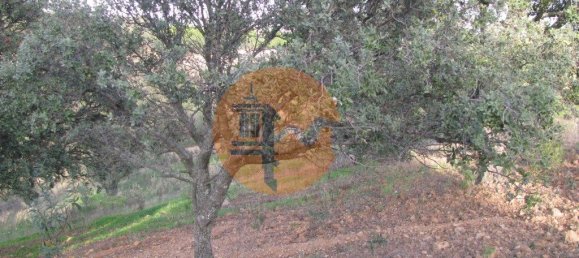 قطعة أرض في Azinhal, Portugal 5560متر مربع رقم 69788 32