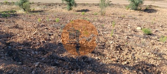 قطعة أرض في Azinhal, Portugal 5560متر مربع رقم 69788 8