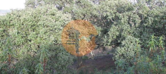 قطعة أرض في Azinhal, Portugal 5560متر مربع رقم 69788 37