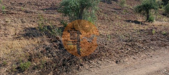 قطعة أرض في Azinhal, Portugal 5560متر مربع رقم 69788 16