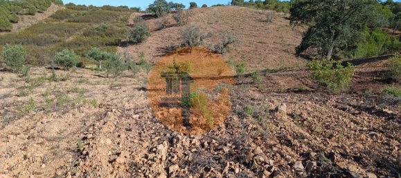 قطعة أرض في Azinhal, Portugal 5560متر مربع رقم 69788 19