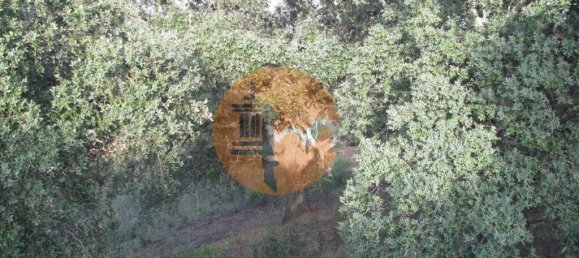 قطعة أرض في Azinhal, Portugal 5560متر مربع رقم 69788 35