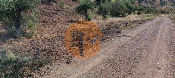 قطعة أرض في Azinhal, Portugal 5560متر مربع رقم 69788 17