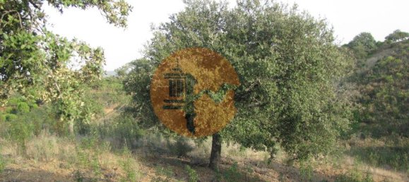 قطعة أرض في Azinhal, Portugal 5560متر مربع رقم 69788 38