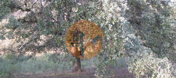 قطعة أرض في Azinhal, Portugal 5560متر مربع رقم 69788 40