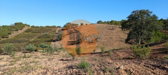 قطعة أرض في Azinhal, Portugal 5560متر مربع رقم 69788 12