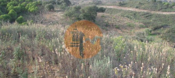 قطعة أرض في Azinhal, Portugal 5560متر مربع رقم 69788 26