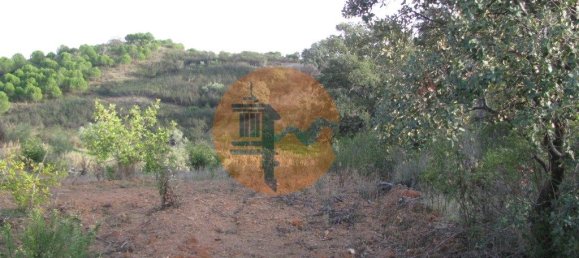 قطعة أرض في Azinhal, Portugal 5560متر مربع رقم 69788 33