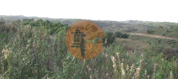قطعة أرض في Azinhal, Portugal 5560متر مربع رقم 69788 24