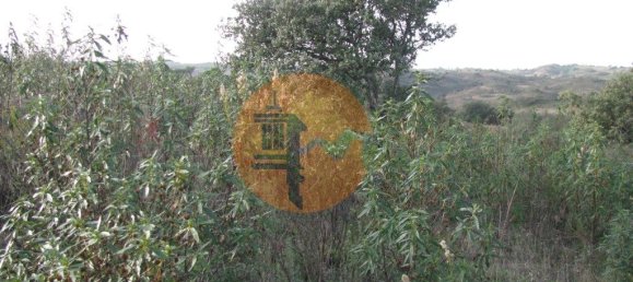قطعة أرض في Azinhal, Portugal 5560متر مربع رقم 69788 23