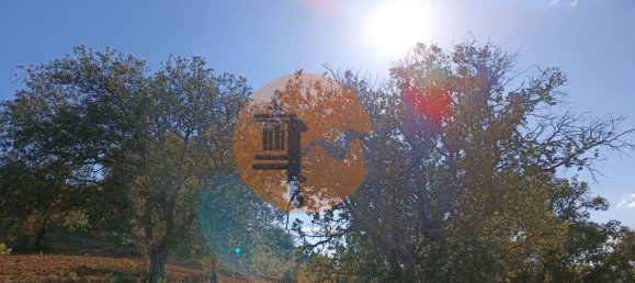 قطعة أرض في Azinhal, Portugal 5560متر مربع رقم 69788 5