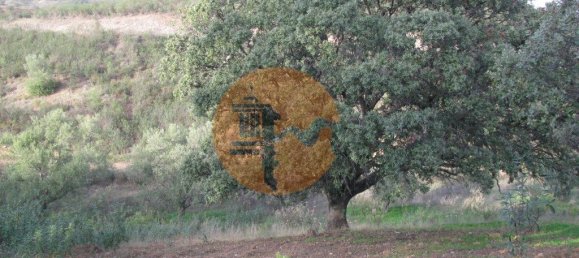 قطعة أرض في Azinhal, Portugal 5560متر مربع رقم 69788 31