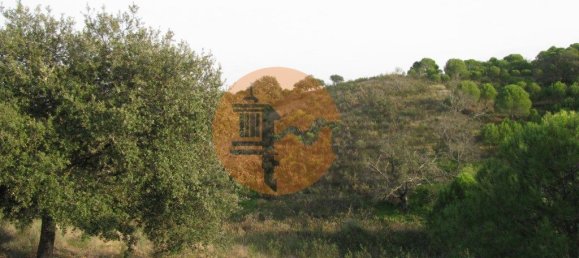 قطعة أرض في Azinhal, Portugal 5560متر مربع رقم 69788 39